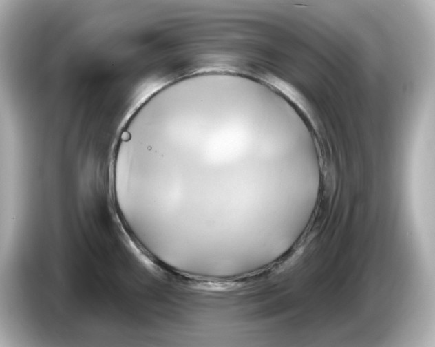 X0000086021290200704091107