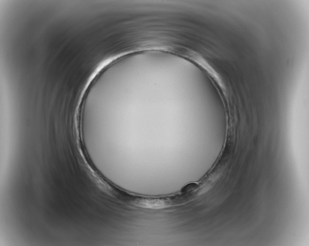 X0000086021291200704091107