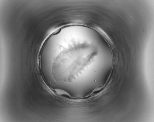 X0000086021292200704091107