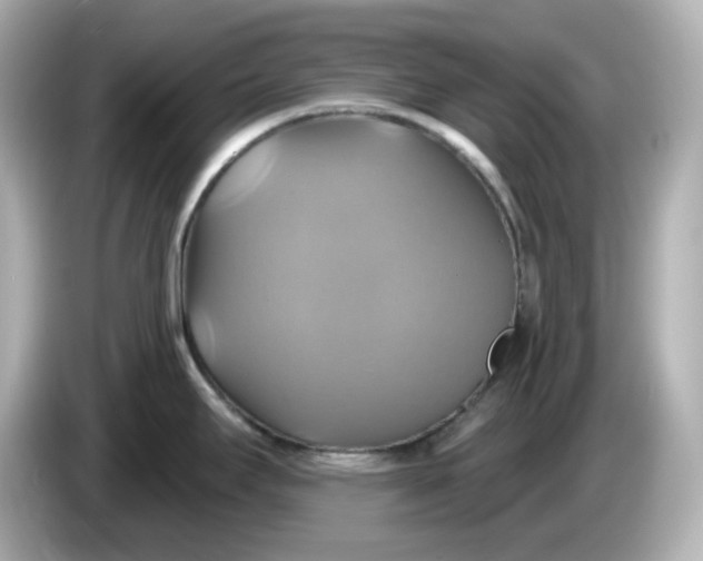 X0000086021295200704091107