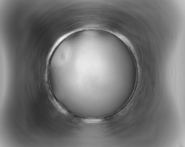 X0000086021296200704091107