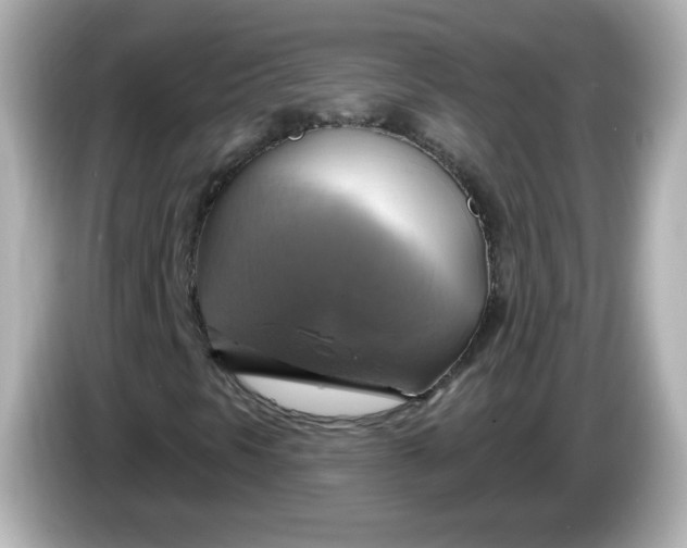 X0000086021297200704091106