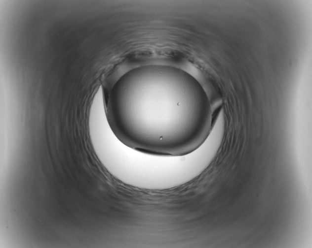 X0000086021298200704091106