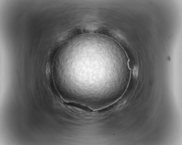 X0000086021299200704091106