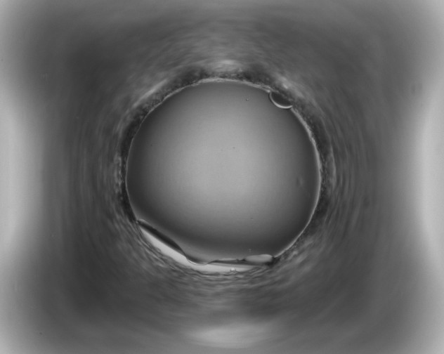 X0000086021301200704091106