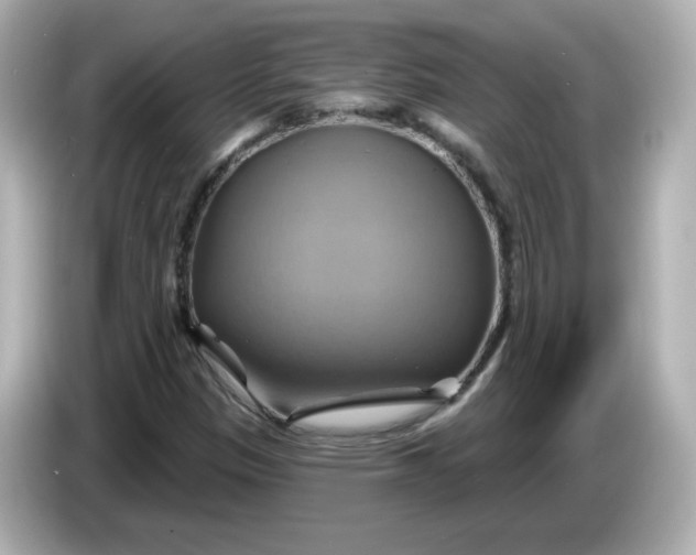 X0000086021305200704091106