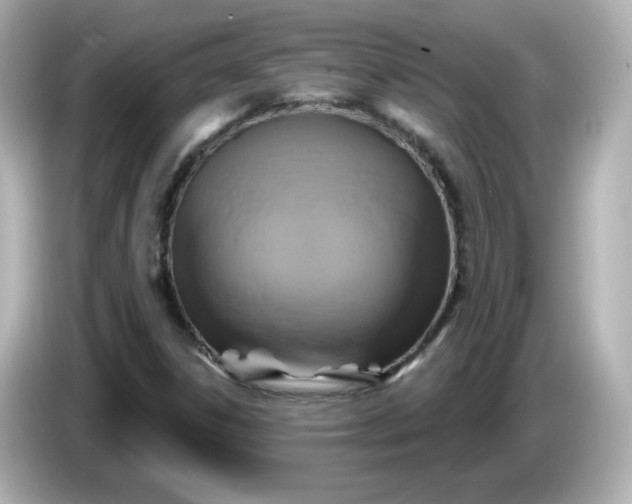 X0000086021306200704091106