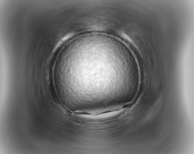 X0000086021307200704091106