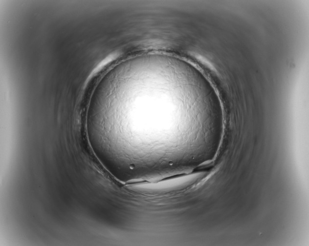 X0000086021309200704091106