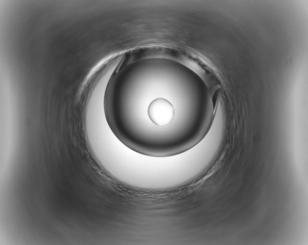 X0000086021310200704091106