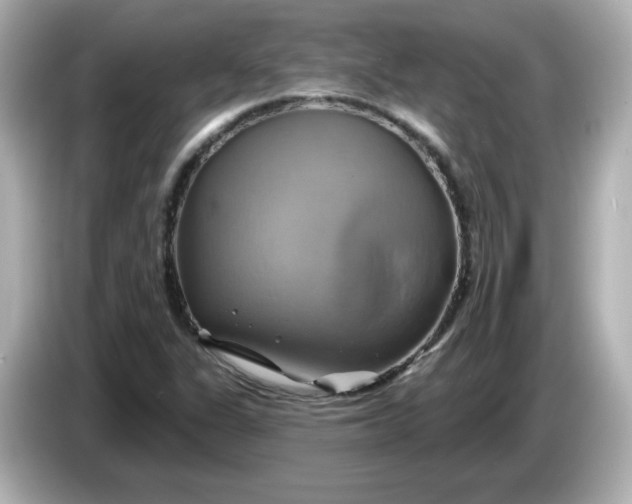 X0000086021311200704091106