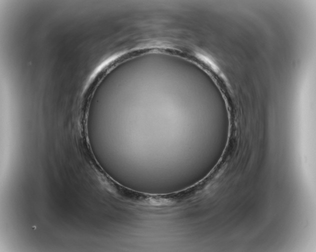 X0000086021312200704091106