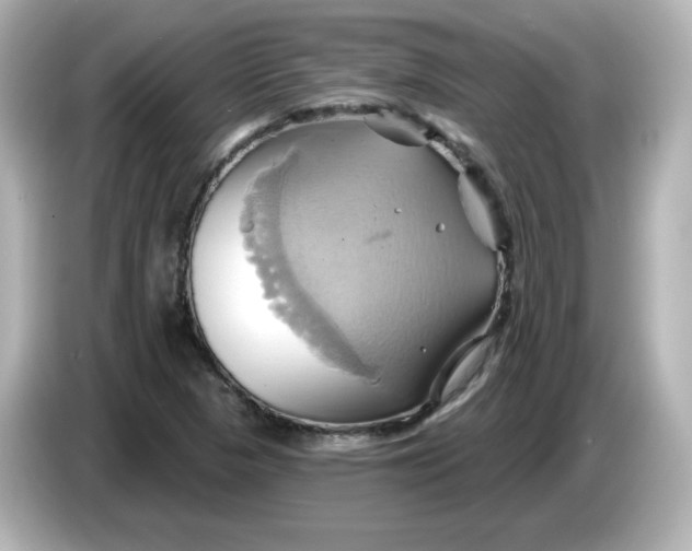 X0000086021313200704091106