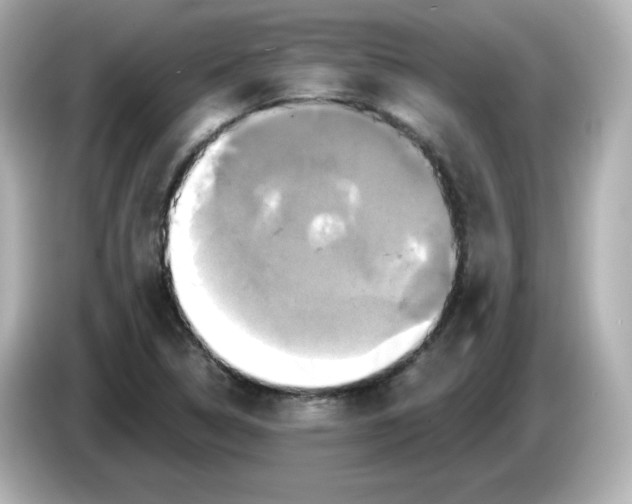 X0000086021314200704091106