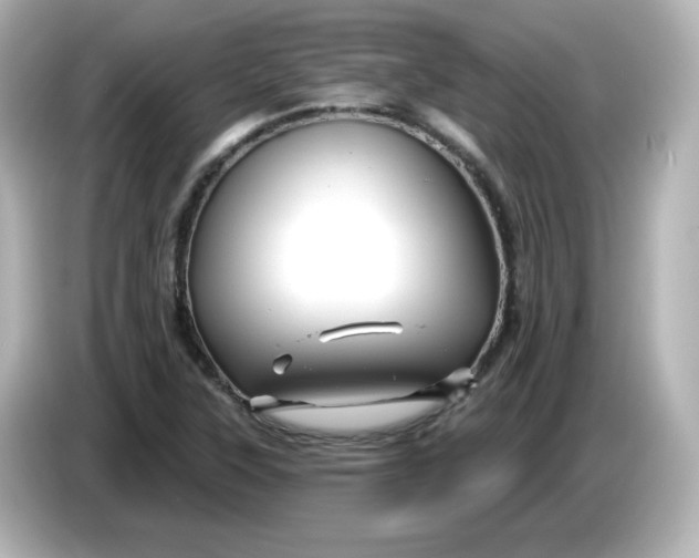 X0000086021315200704091106