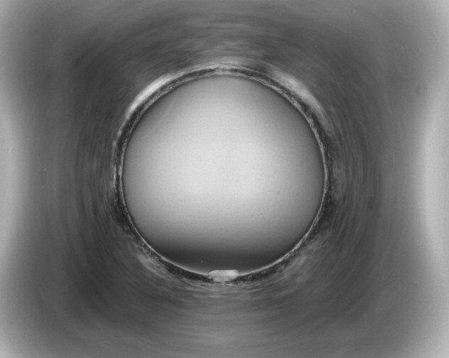 X0000086021316200704091106