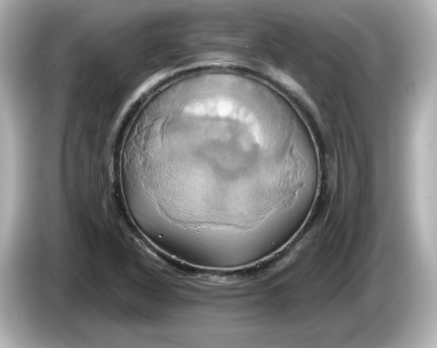 X0000086021318200704091106
