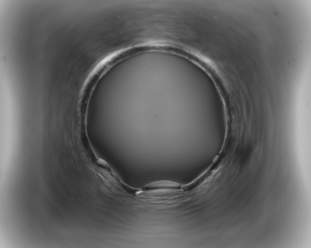 X0000086021319200704091106