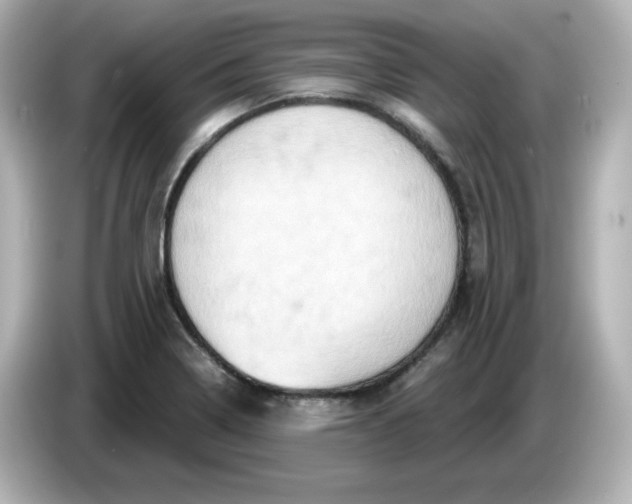 X0000086021322200704091106