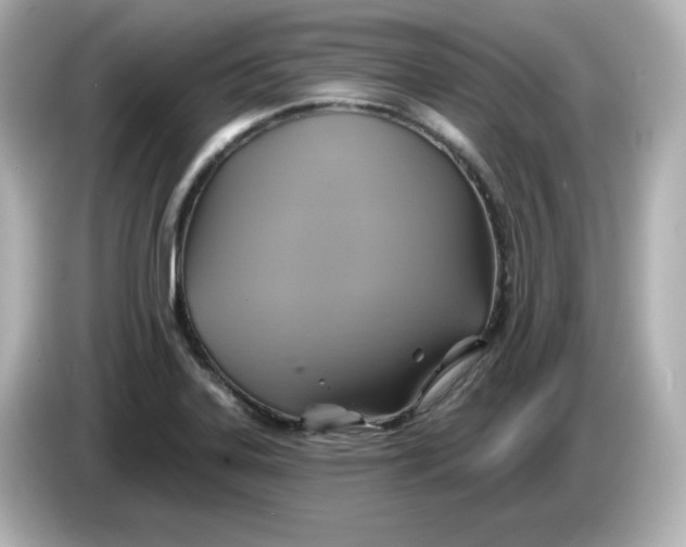 X0000086021323200704091106