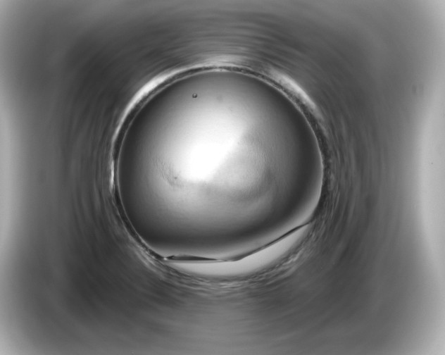 X0000086021324200704091106