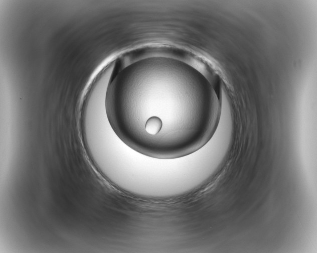 X0000086021326200704091106