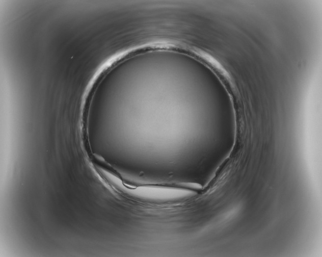 X0000086021327200704091106