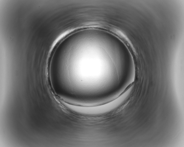 X0000086021328200704091106