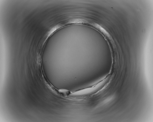 X0000086021329200704091106