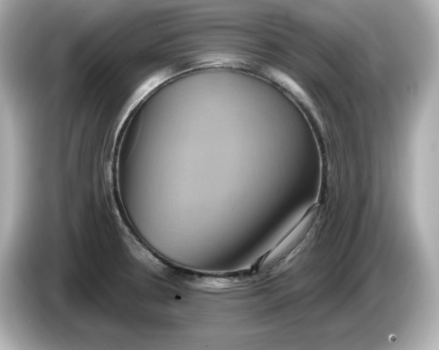 X0000086021330200704091106