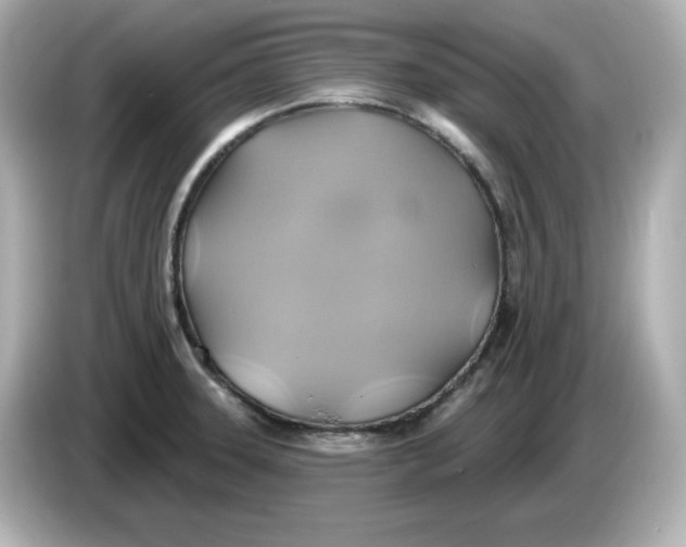 X0000086021331200704091106