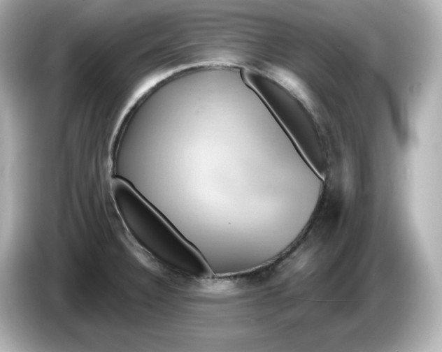 X0000086021332200704091106