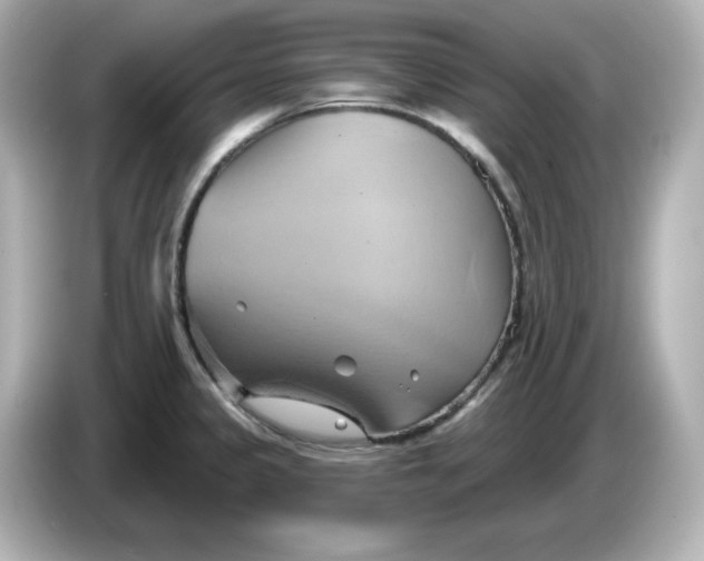 X0000086021333200704091106
