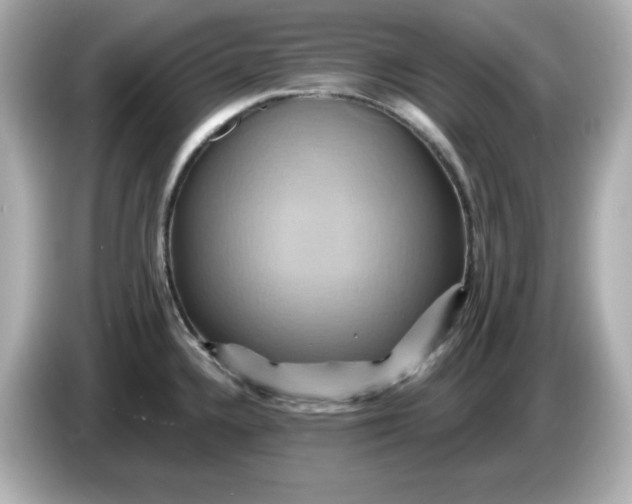 X0000086021336200704091107