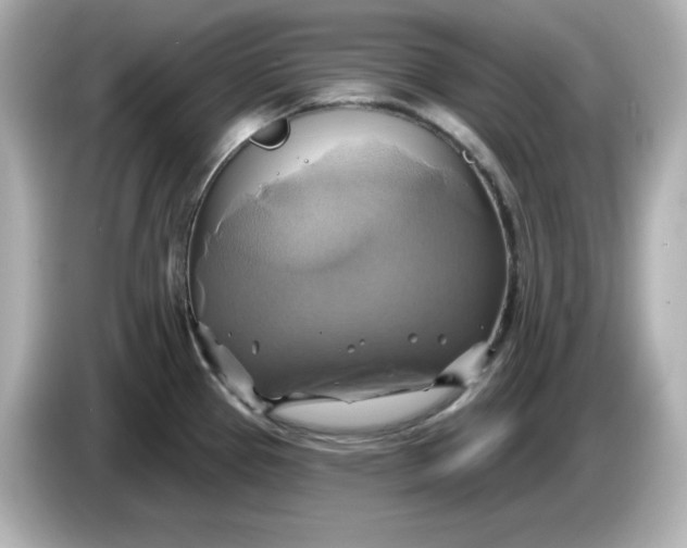 X0000086021337200704091107