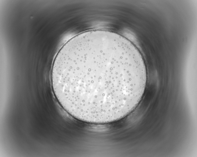 X0000086021338200704091107
