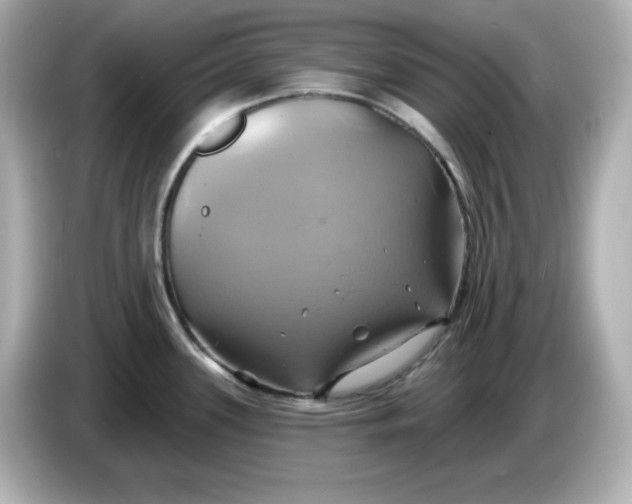 X0000086021339200704091107