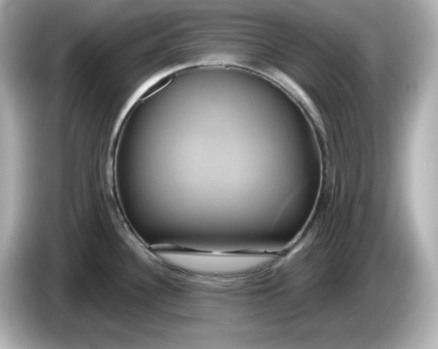 X0000086021340200704091107