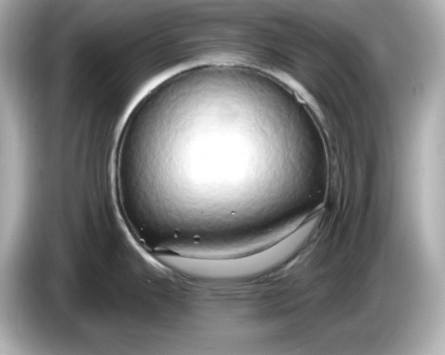 X0000086021343200704091107