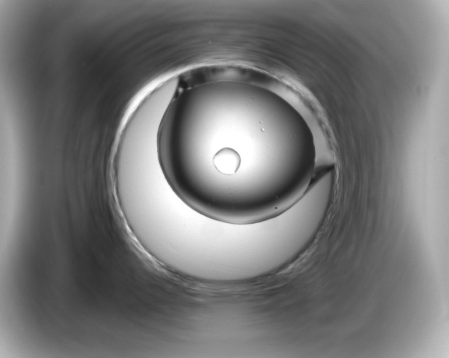 X0000086021344200704091107