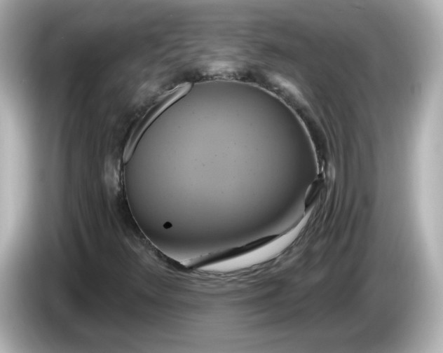X0000086021348200704091106