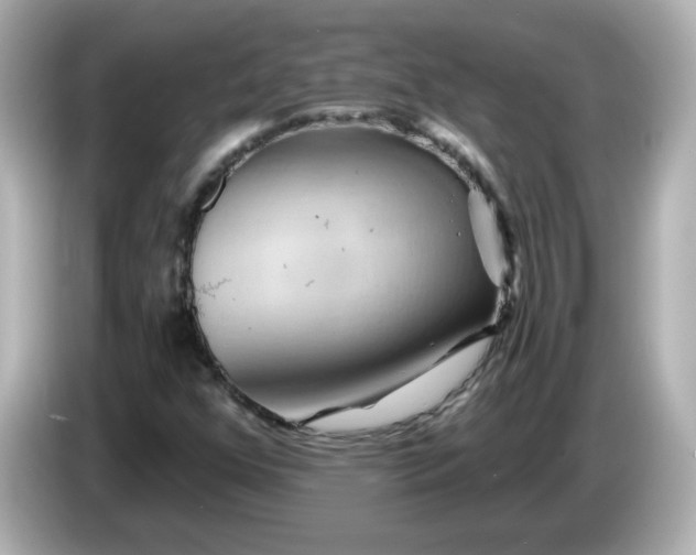X0000086021352200704091106