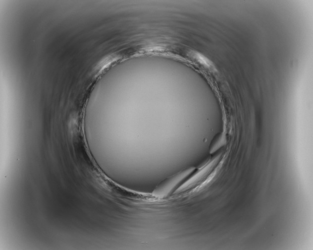 X0000086021353200704091106