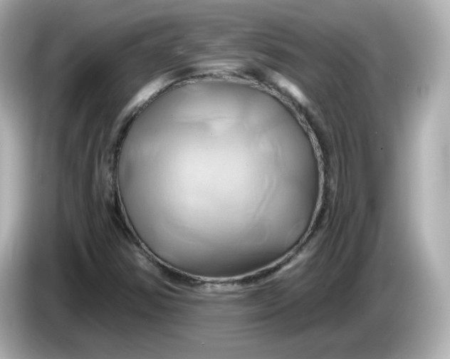 X0000086021354200704091106