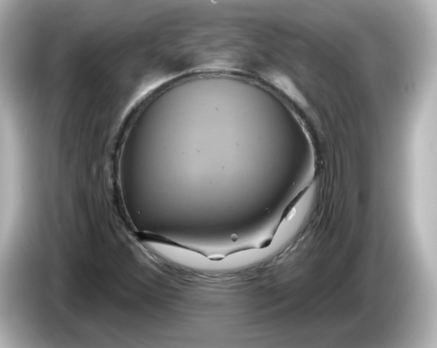 X0000086021356200704091106