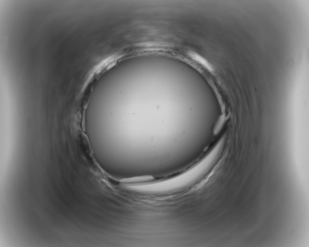 X0000086021357200704091106