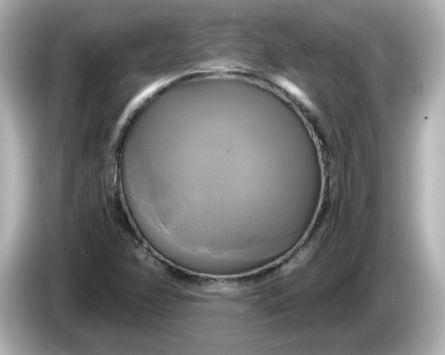 X0000086021358200704091106
