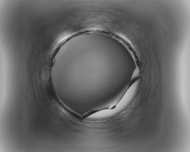 X0000086021359200704091106