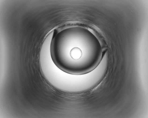 X0000086021361200704091106