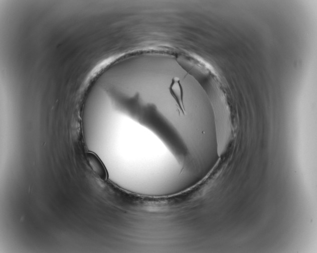 X0000086021363200704091106